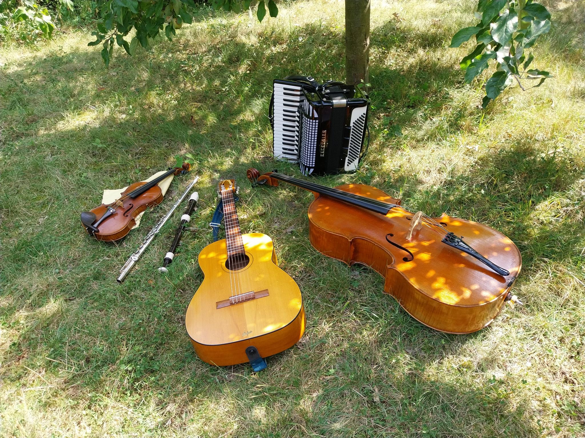 Instrumente auf Wiese