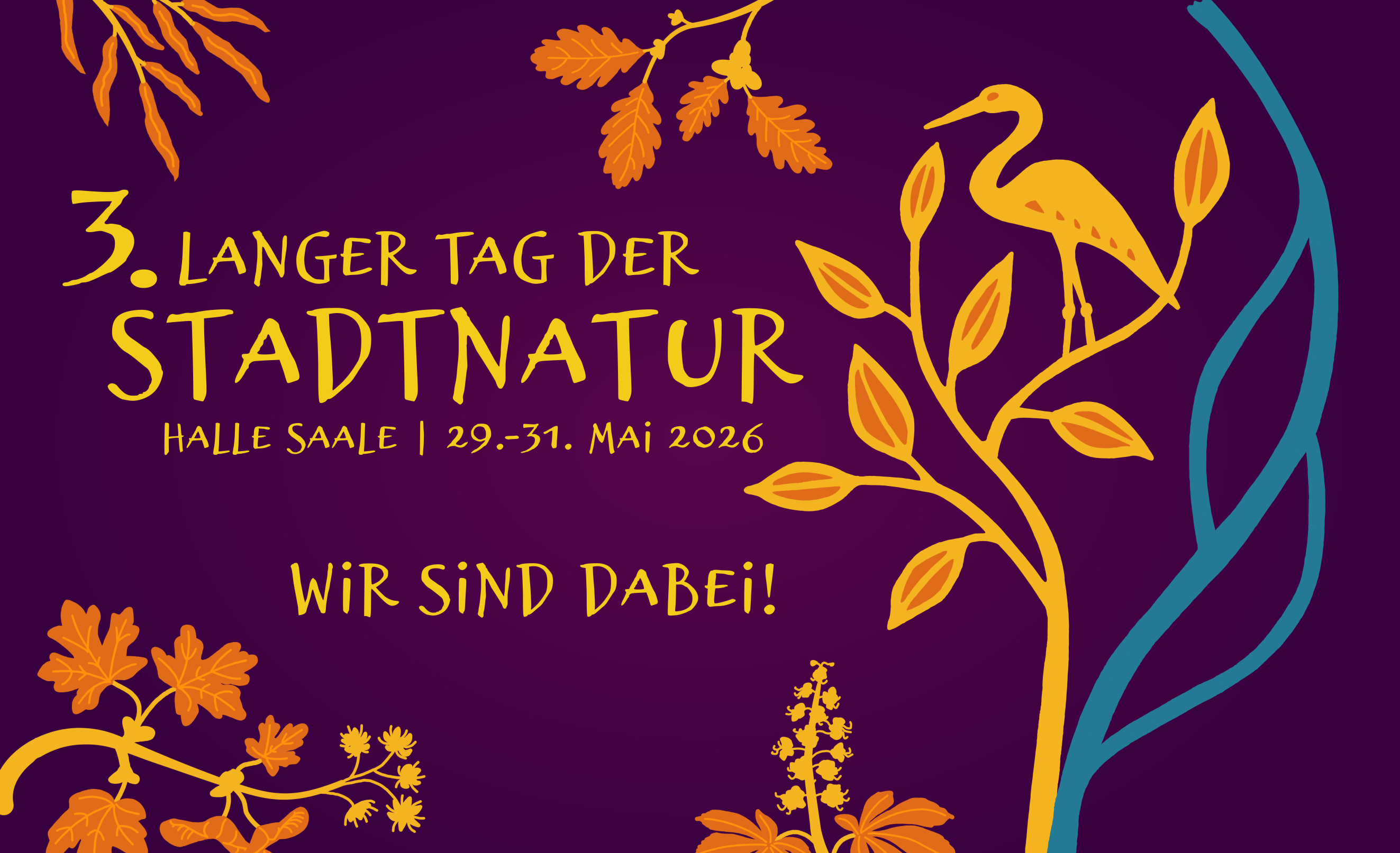 website banner v1 1