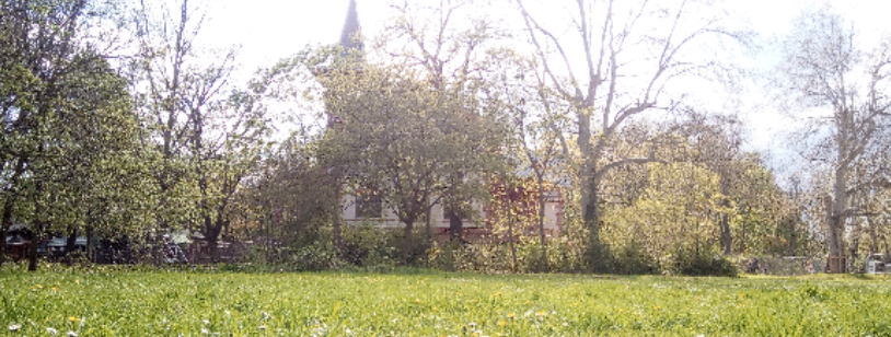 Titelbild Peissnitzhaus Wiese