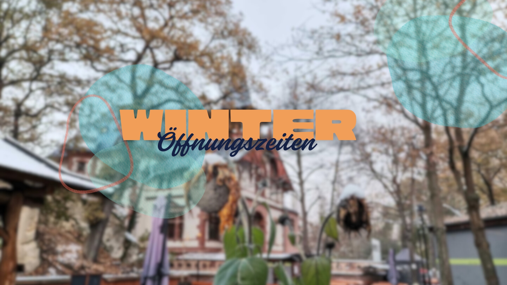 Winter Oeffnungszeiten